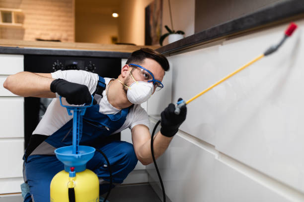 Best Wasp Removal Services  in Washburn, IL
