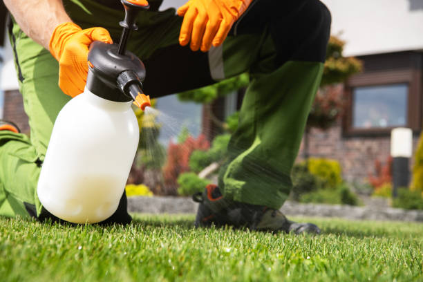 Best Bed Bug Extermination  in Washburn, IL