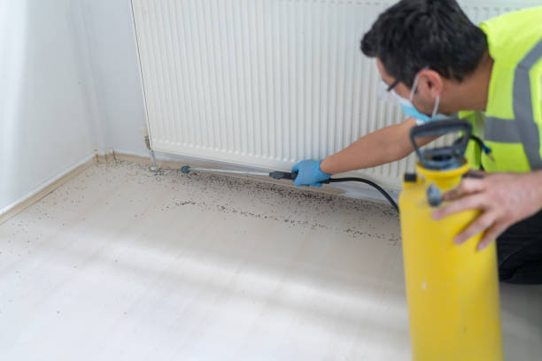 Best Pest Inspection Near Me  in Washburn, IL